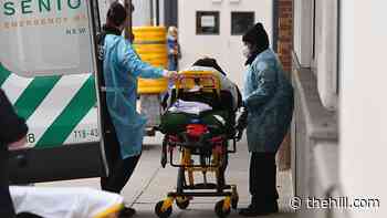 White House task force warns case surge could be due to new US virus variant