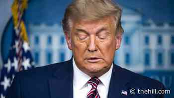 Twitter permanently suspends Trump
