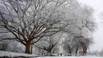 Snow and ice set to hit UK over bitterly cold weekend