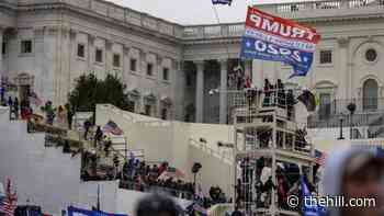 House Democrat probing any 'inside' support from police amid Capitol riot