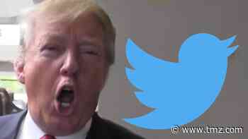 President Trump's Twitter Account Permanently Suspended