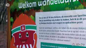 Stad Antwerpen lanceert 'wandelquiz' om coronaproof te bewegen - ATV