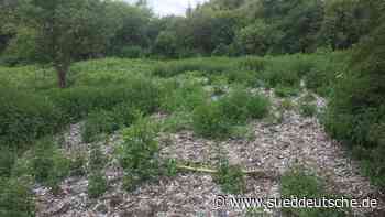 Illegale Müllkippe wird beseitigt - Süddeutsche Zeitung