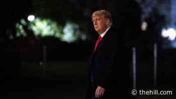 US judge blocks Trump administration's restrictions on asylum eligibility