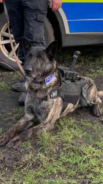 Fearsome police dog Zeus who once made burglar 'have an accident in his trousers' retires