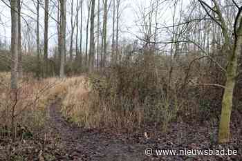 Wiestermeersch 3,3 ha groter (Lebbeke) - Het Nieuwsblad