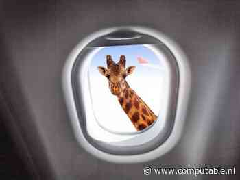 De les van 2020: cybercrime is onvoorspelbaar