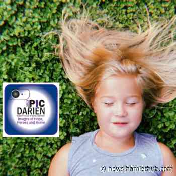 Darien Arts Center's Photo Contest to Benefit Health and Human Services; Open to All - HamletHub