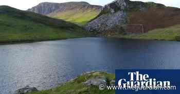 Country diary: the floating island of Llyn y Dywarchen