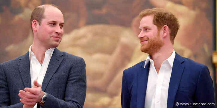 Prince William & Prince Harry's Relationship Is 'Much Better Than It Was', A Royal Expert Says