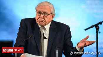 David Attenborough won't return to Instagram