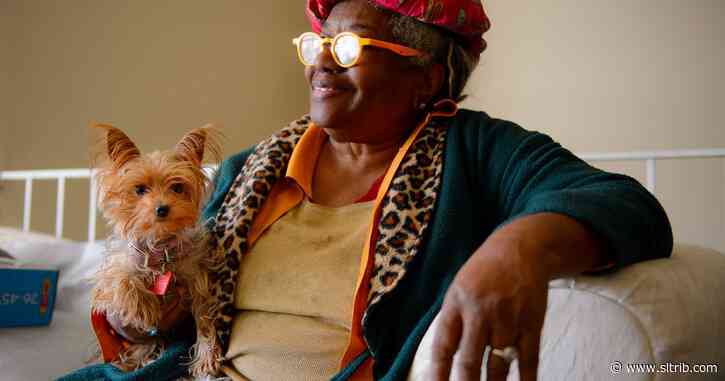 Yappy reunion — retired Utah preacher gets back four of her dogs