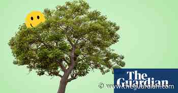 Climb a tree, and wiggle those hips: exercises to boost your mood