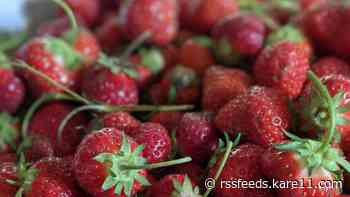 Catching up with Ariana Feygin