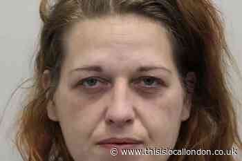 Appeal to trace woman over Chessington robbery