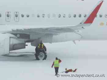 Airport chaos and motorists trapped overnight as deadly blizzard cripples Madrid