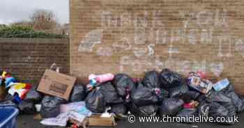 Fury as huge piles of post-Christmas fly-tipping