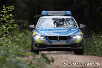 Spaziergängerin und Hund mit Steinen beworfen - Uelzener Presse