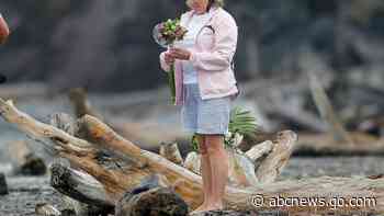 Woman dies in suspected New Zealand shark attack