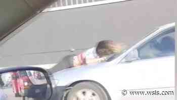 Woman clings to speeding car as thieves take $10,000 puppy in Houston - WSLS 10