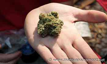 Top Rhode Island Senator Backs Private Marijuana Sales Model As Another Lawmaker Puts 95 Percent Odds On Legalization - Marijuana Moment