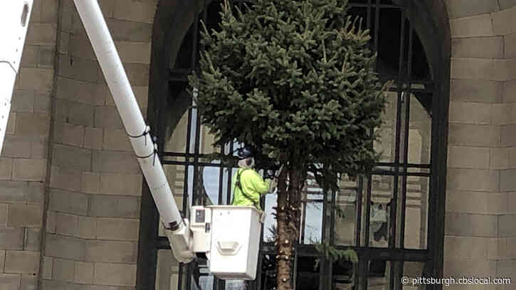 City-County Building Christmas Tree Cut Down