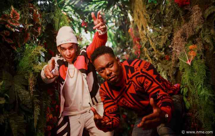 Dizzee Rascal shares colourful new video for ‘Don’t Be Dumb’