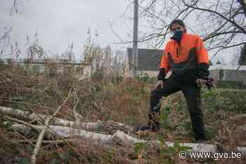 Bezoekers boos op sluikstorters: “Laat ons dit beetje groen in ere houden” - Gazet van Antwerpen