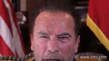 Arnold Schwarzenegger Compares Capitol Riot to the Rise of Nazis