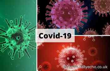 Coronavirus: More than 1,300 new cases across Hampshire - Daily Echo