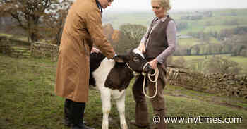 ‘All Creatures Great and Small’ Rehabilitates Cows and Soothes Souls