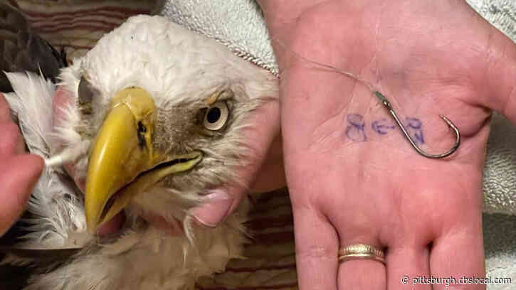 Two Children, Firefighters Rescue An Injured Bald Eagle Entangled In Fishing Line