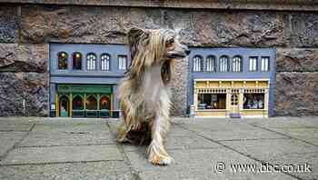 The secret artists creating miniature buildings for street mice