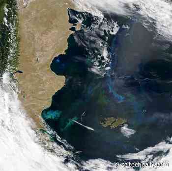 Spied by Satellite: Phytoplankton Factory in the Argentine Sea