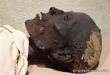 Electron Paramagnetic Resonance: A Non-destructive Method for Analyzing Ancient Egyptian Embalming Materials