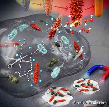 Nanocrystals With Unique Surface Texture That Eradicates Bacteria Biofilm
