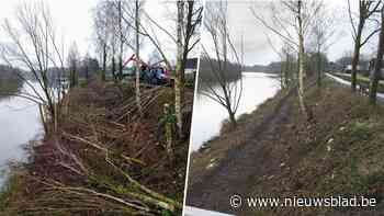 Kapwerken langs kanaaloever zetten kwaad bloed bij bewoners, die klacht indienen bij politie: “Dit is een regelrechte kaalslag”