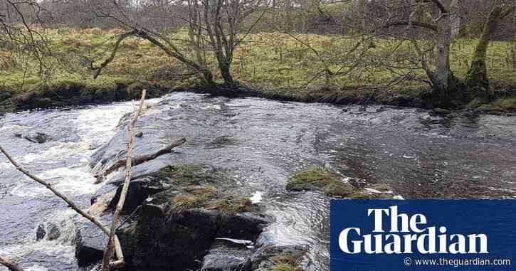 Country diary: going with the flow through the Debatable Lands