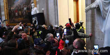 Illinois CEO arrested during Capitol riots says he was in 'wrong place' at 'wrong time'