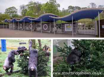 IKEA gifts Christmas trees to Dudley Zoo as lockdown returns - Stourbridge News