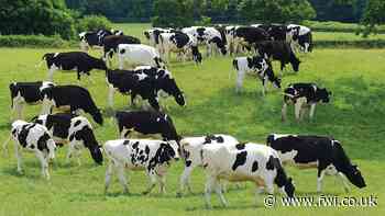 OFC 2021: Trade advisory board says no backsliding on food standards - FarmersWeekly