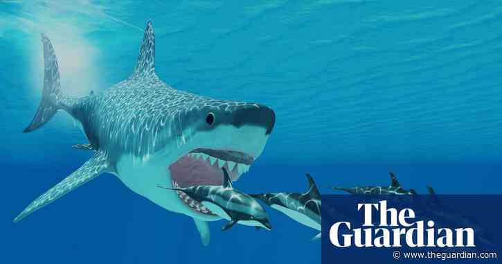 Baby shark! Newborn megalodons larger than humans, scientists say
