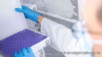 Corona-Impfstoff von Biontech: Umstrittenes Labor beteiligt - Tierversuche an Ratten
