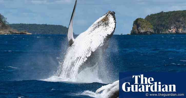 50 countries commit to protection of 30% of Earth's land and oceans