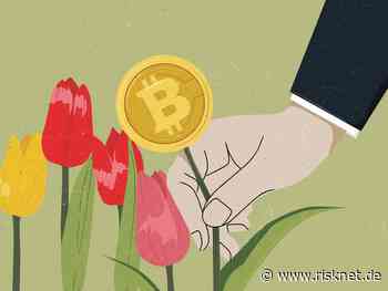 Bitcoin und Tesla als Symbole der Tulpenmanie 2.0? - RiskNET