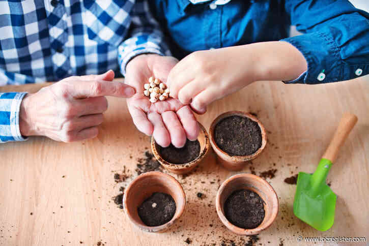 Digging deeper into gardening? Here’s how to save seeds