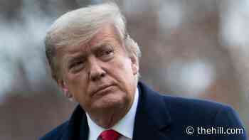 READ: Lawmakers' drafted Article of Impeachment against Trump