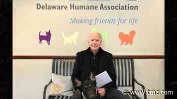 Joe Biden's Rescue Dog Major will be Indogurated