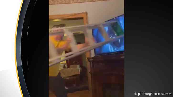 Pittsburgh Steelers Fans Run Gamut Of Emotions Following Loss To Browns, One Even Destroys TV With A Ladder