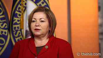 Lawmaker to unveil bill ensuring nothing — 'no airport, no highway, no school' — is named after Trump